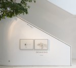 Fernando González 03b