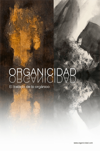 ORGweb español copiarct2